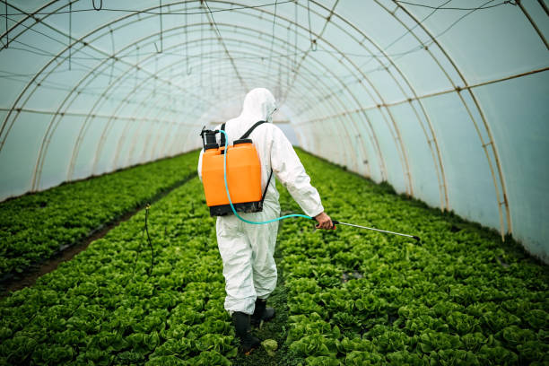 Best Affordable Pest Control Services  in Las Cruces, NM