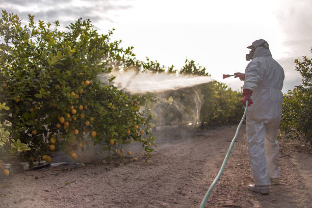 Best Pest Prevention Services  in Las Cruces, NM