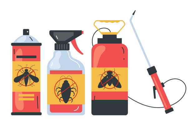 Best Termite Control Services  in Las Cruces, NM