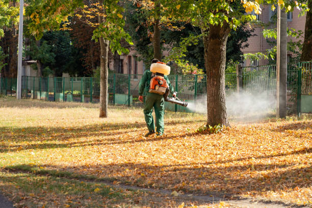 Best Pest Control Near Me in Las Cruces, NM