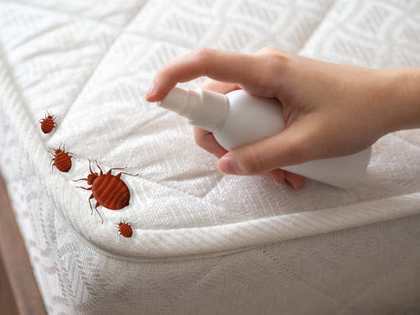 Best Best Pest Control Companies  in Las Cruces, NM