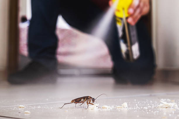 Best Pest Prevention Services  in Las Cruces, NM