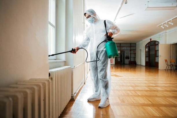 Best Pest Removal Services  in Las Cruces, NM