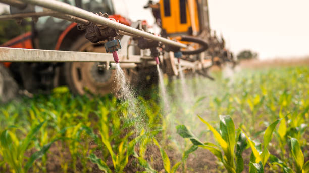 Reliable Las Cruces, NM Pest Control Solutions